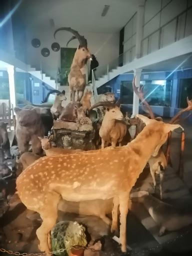 عکس موزه تاریخ طبیعی و تنوع زیستی گیلان