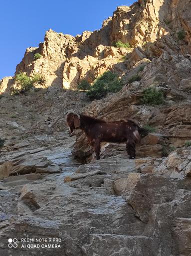 عکس قله حاج ابراهیم