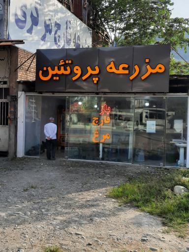 عکس فروشگاه مزرعه پروتئین