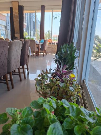 عکس رستوران نیما 