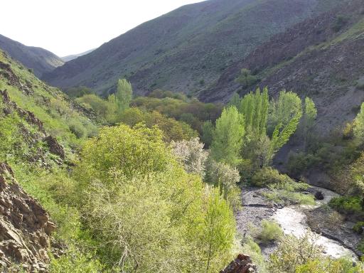 عکس منطقه گردشگری دولت آباد