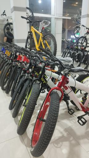 عکس دوچرخه فرهمند 