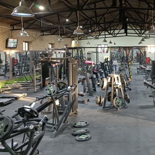 عکس باشگاه بدنسازی بهزاد