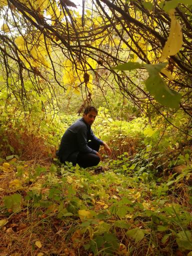 عکس منطقه گردشگری دولت آباد