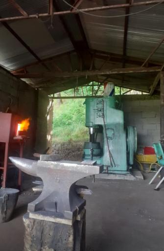 عکس گروه تولیدی محمدنژاد