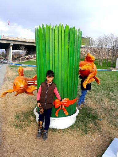 عکس فضای سبز