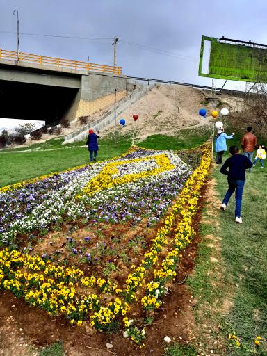 عکس فضای سبز