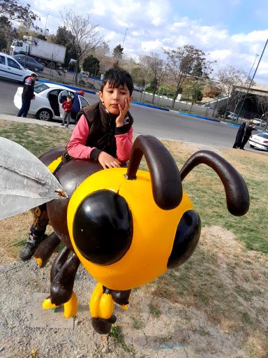 عکس فضای سبز