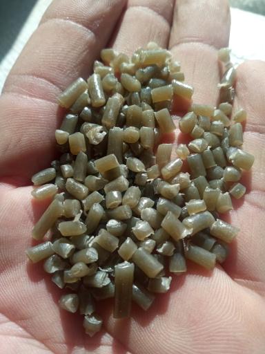 عکس تولیدی زراعت پیشه