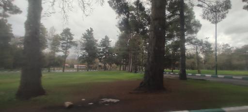 پارک جنگلی طاق بستان (پارک غربی)