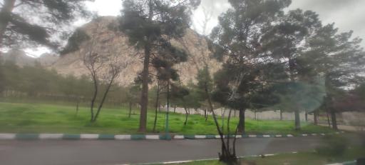 پارک جنگلی طاق بستان (پارک غربی)