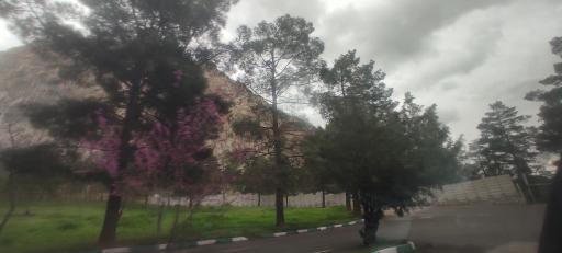 عکس پارک جنگلی طاق بستان (پارک غربی)