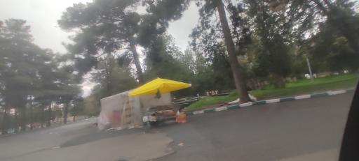 پارک جنگلی طاق بستان (پارک غربی)