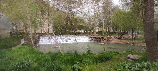 عکس پارک جنگلی طاق بستان (پارک غربی)