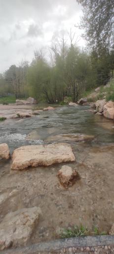 عکس پارک جنگلی طاق بستان (پارک غربی)