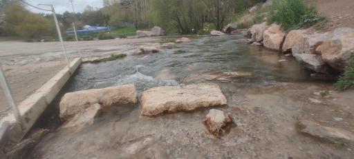 عکس پارک جنگلی طاق بستان (پارک غربی)