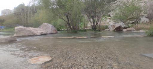 عکس پارک جنگلی طاق بستان (پارک غربی)