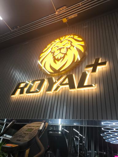 عکس باشگاه بدنسازی رویال پلاس