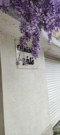 عکس مهانسرا ظفر 