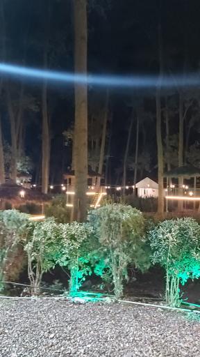 عکس نی باغ ساحلی لوئی