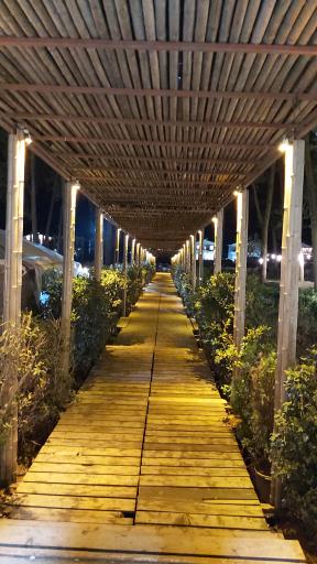 عکس نی باغ ساحلی لوئی