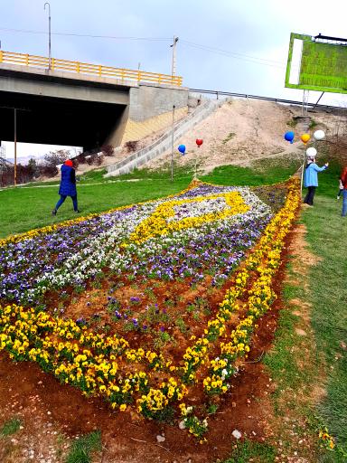 عکس فضای سبز