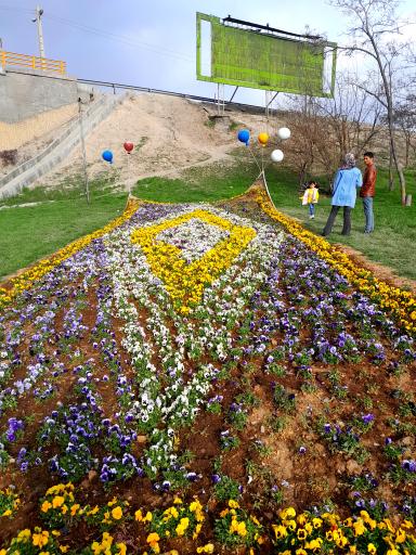 عکس فضای سبز