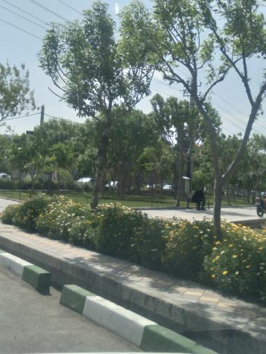 عکس پارک نبوت فاز 1