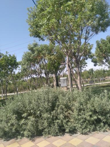 عکس پارک نبوت فاز 1