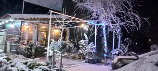 عکس مجموعه کافه گل پویان