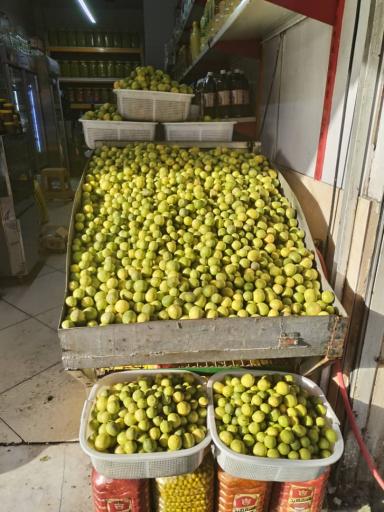 زیتون سرای صفرپور 