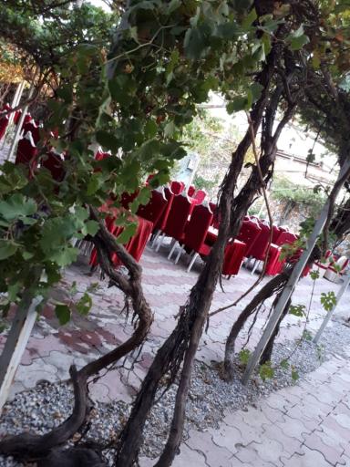 عکس باغ تالار بهارستان