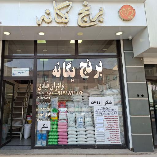 عکس برنج یگانه