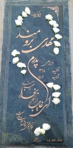 عکس آرامگاه مهدی برومند