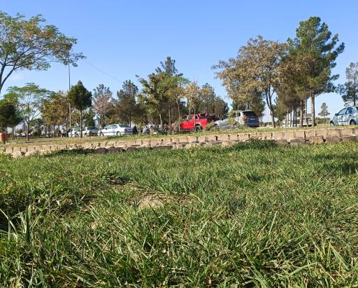 عکس پارک استقبال