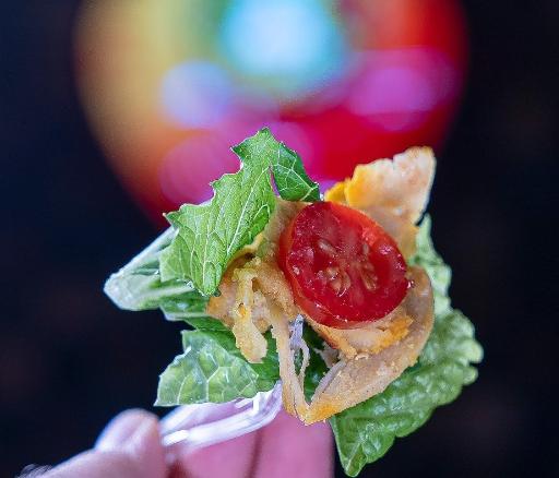 عکس ساندویچ صدف