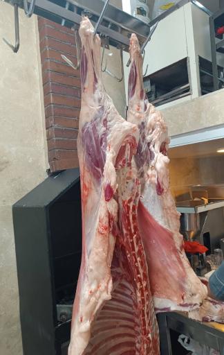 عکس کبابی گلپایگانی ولیعصر 