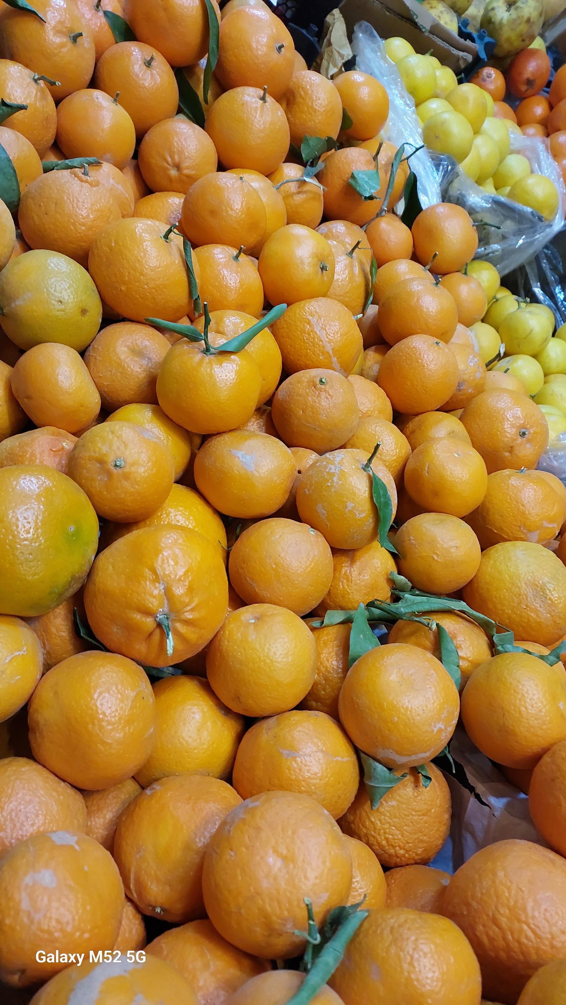 عکس میوه فروشی کاویانی