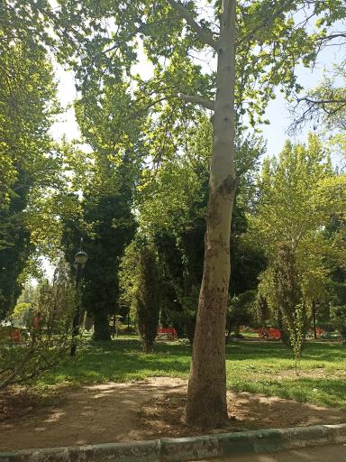 عکس پارک هفت تیر