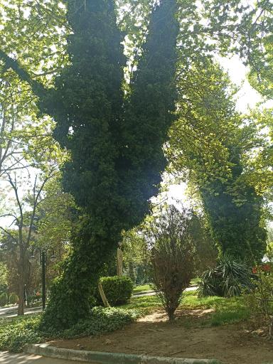 عکس پارک هفت تیر