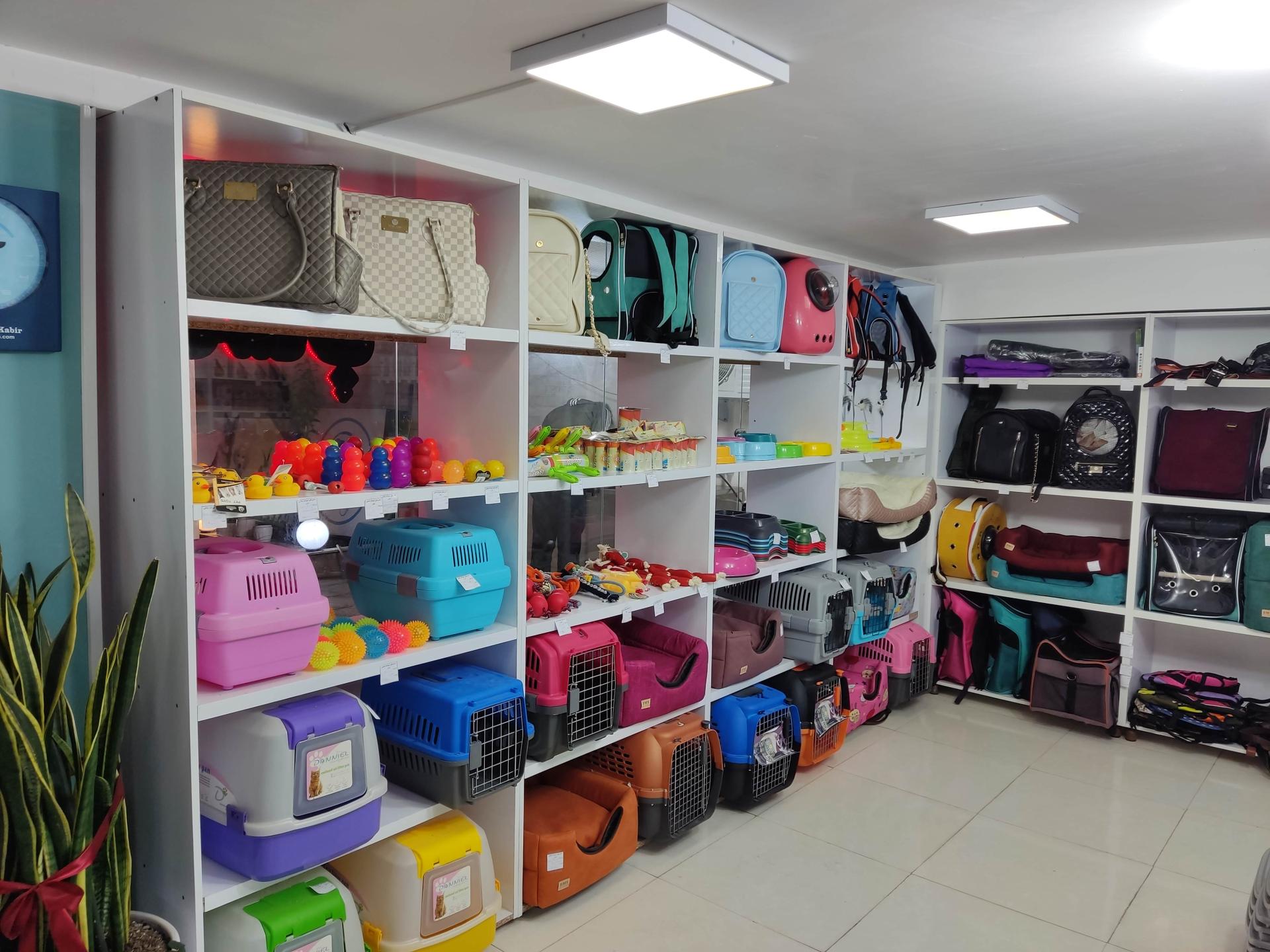 عکس دامپزشکی حیوانات خانگی نوین