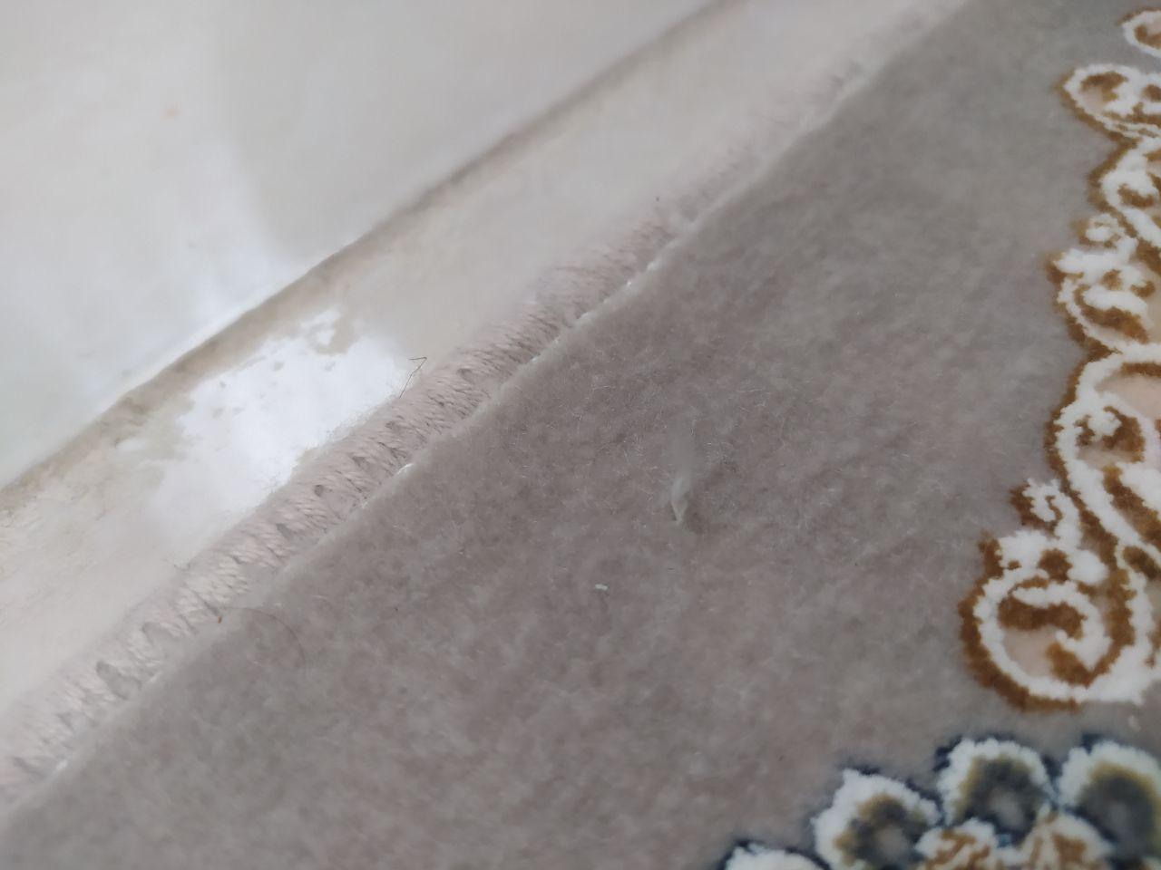 عکس قالیشویی ابریشم رشت