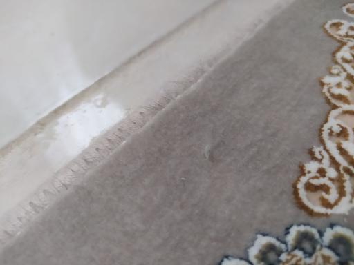 عکس قالیشویی ابریشم رشت