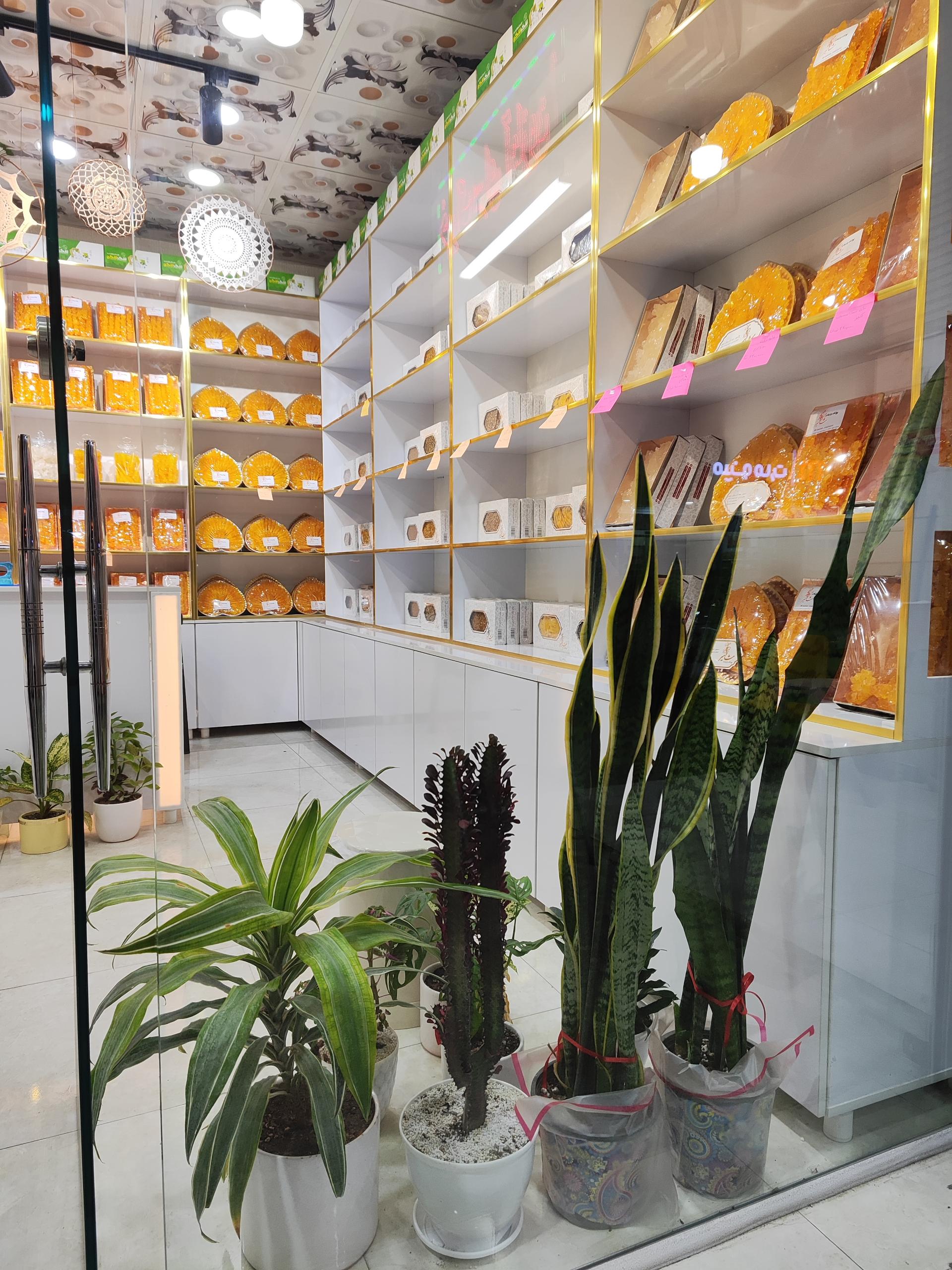 عکس نبات سرای سنتی بزرگمهر