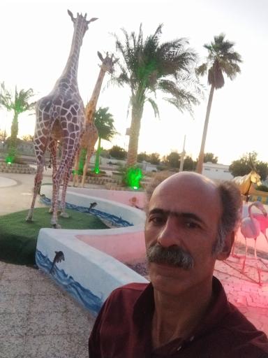 عکس پارک ساحلی دیر