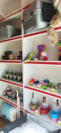 عکس پت شاپ پینار