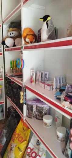 عکس پت شاپ پینار