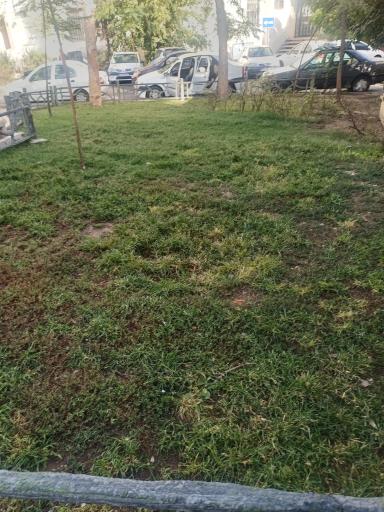 عکس بوستان کوشیار