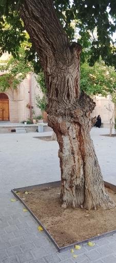 عکس خانه خلاق و نوآوری سعدالسلطنه