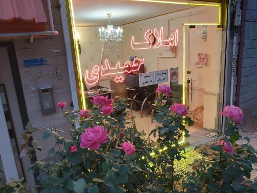 عکس املاک حمیدی